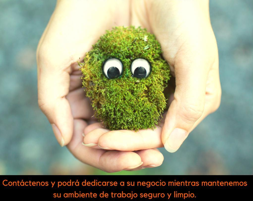 Equipo profesional de limpieza JustClean