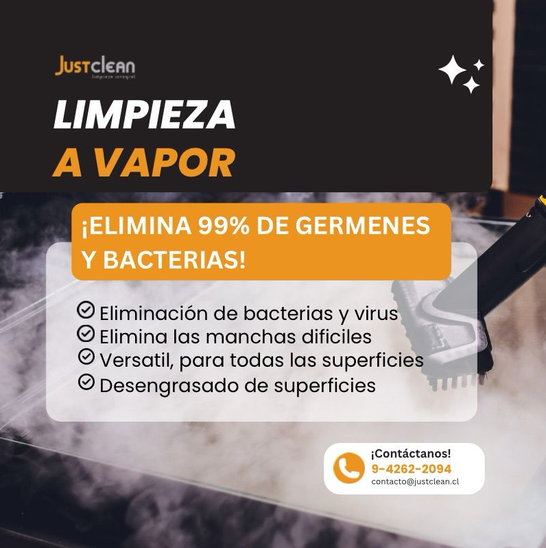 Limpieza a Vapor